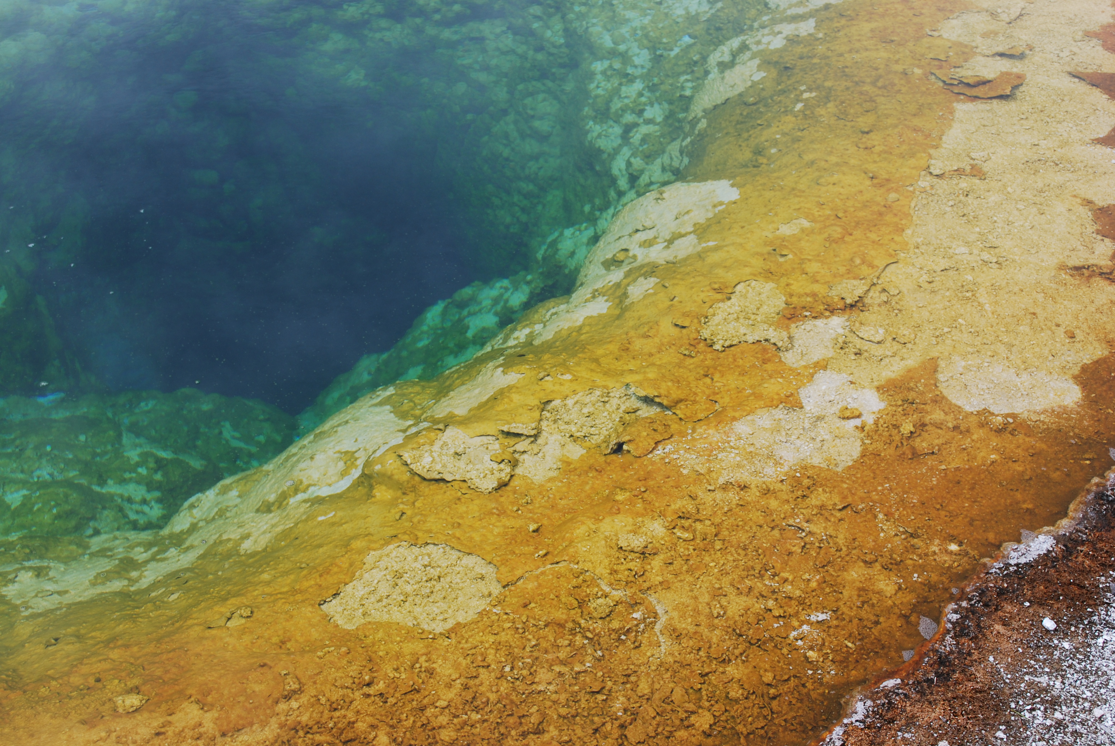 Morning Glory Pool at Yellowstone