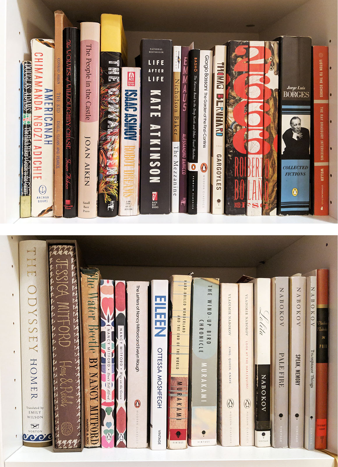 Bookshelf of fiction books