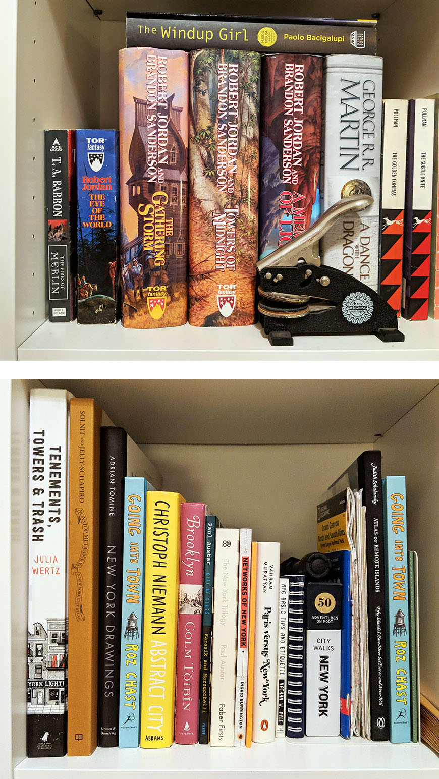 Bookshelf of fantasy books and bookshelf of NYC maps
